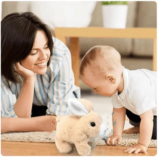 How to use PetsBoro BunnyPal